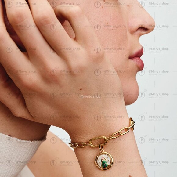 Pandora Scarab Beetle Medallion Charm - Picture 5 of 6